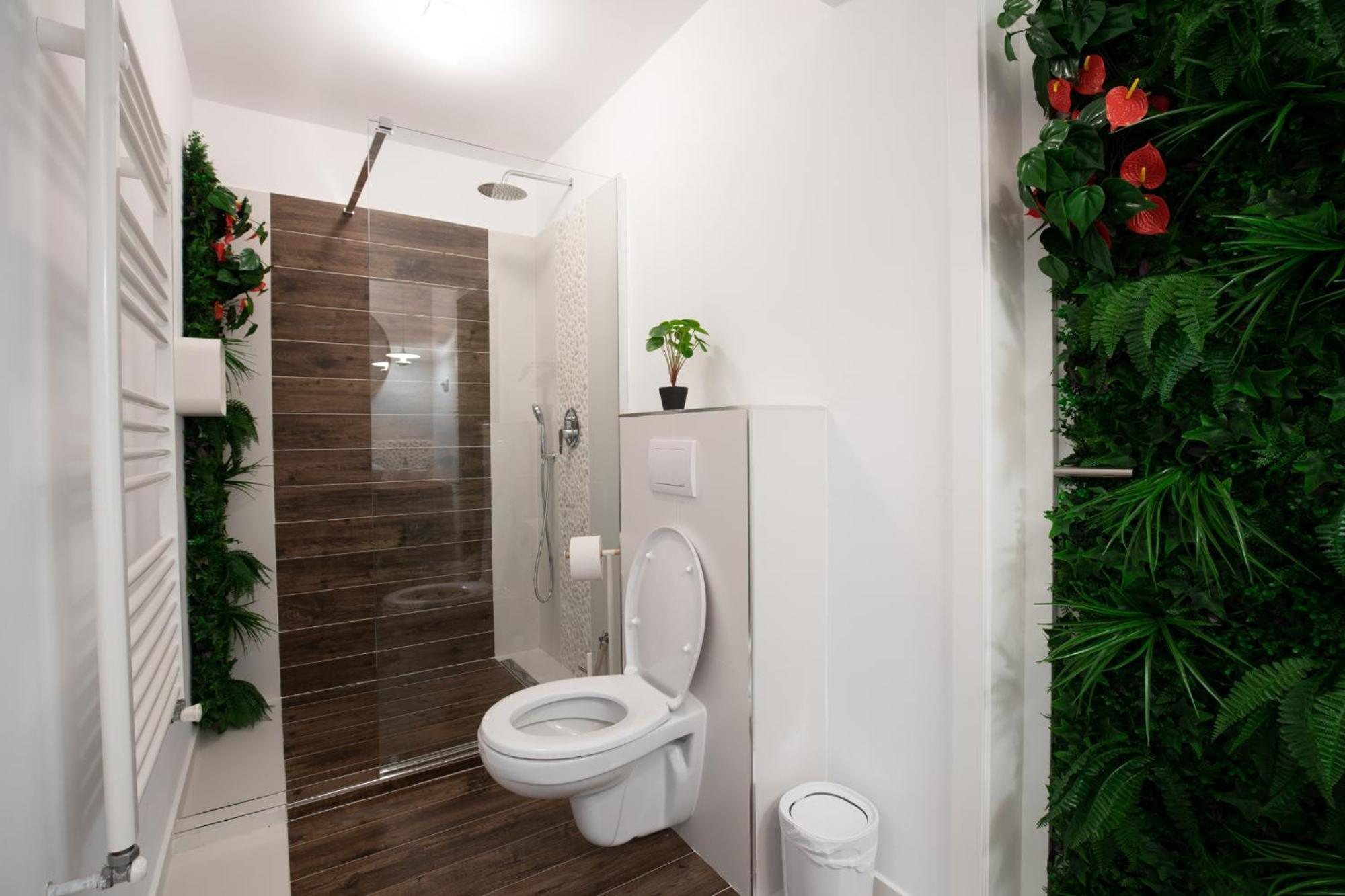 E-House Apartment Brasov Noua Екстериор снимка
