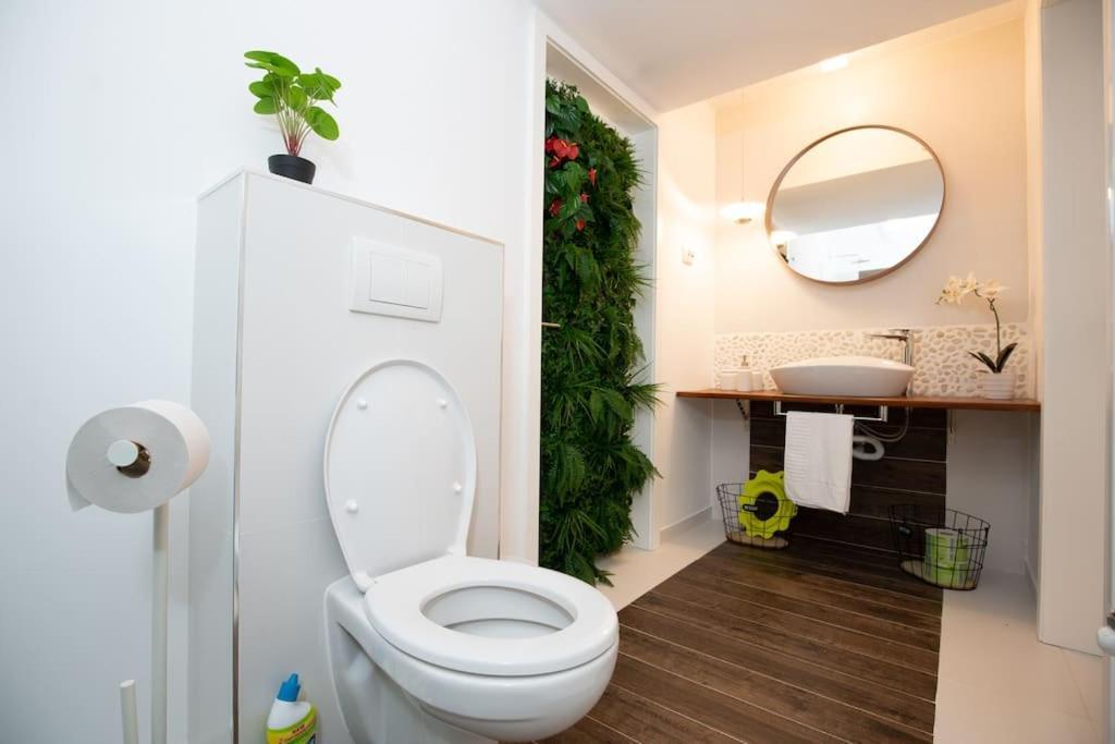E-House Apartment Brasov Noua Екстериор снимка